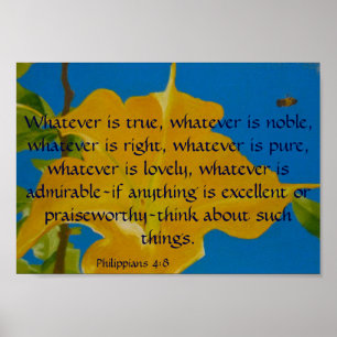 Poster Se qualquer coisa é excelente ou louvável