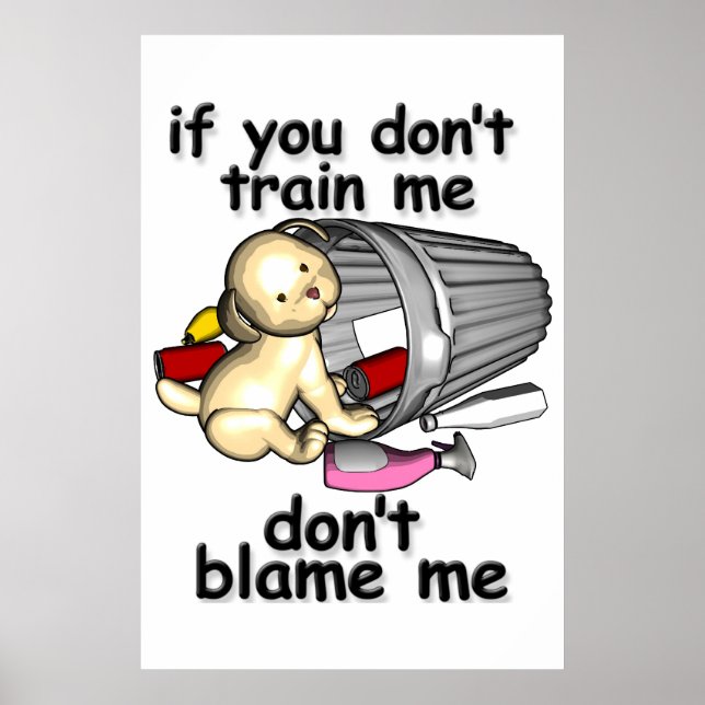 Póster Se você não me treinar, não me culpe (Frente)