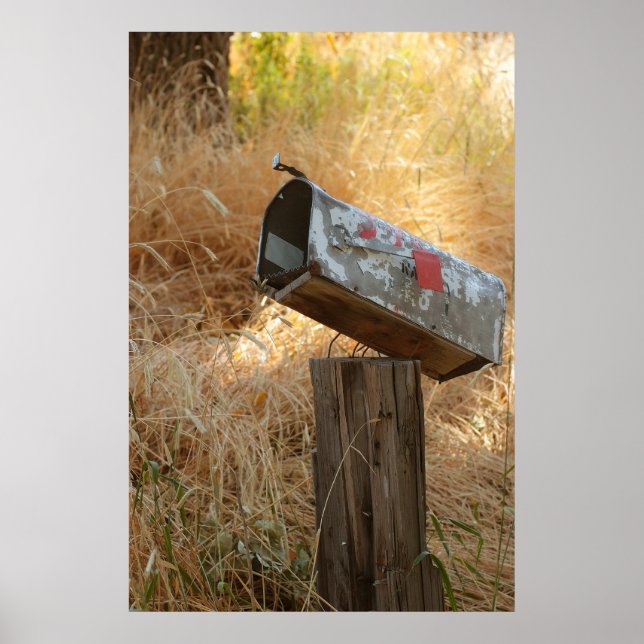 Póster Se Você Se Importar... Compartilhe (Frente)