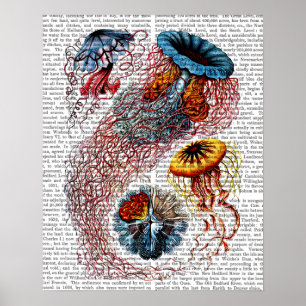 Poster Sea Anemone