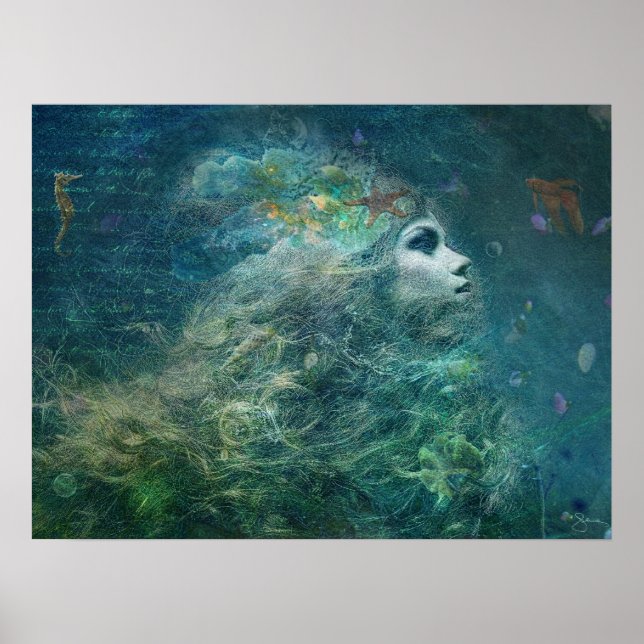 Poster Sea Biscuit (Frente)