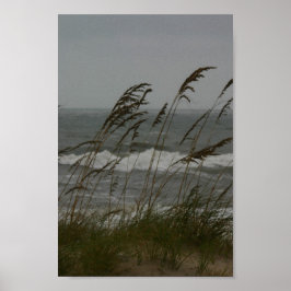 Póster Sea Breeze