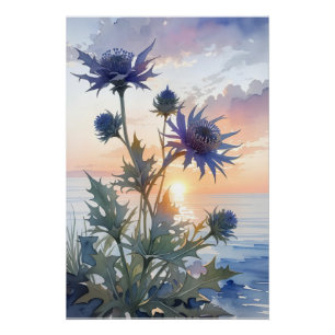 Póster Sea Holly
