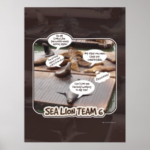 Póster Sea Lion Team 6 Funny Ocean Life Slogan
