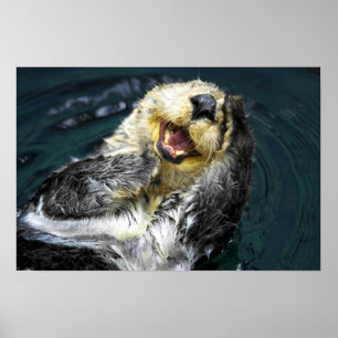 Póster Sea Otter