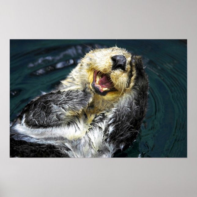 Póster Sea Otter (Frente)