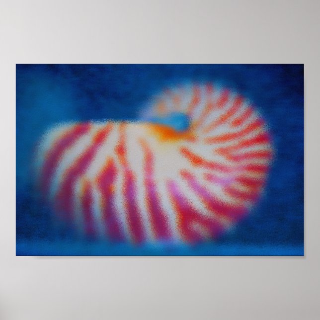 Poster Sea Shell (Frente)