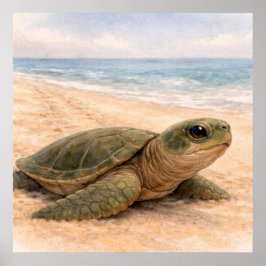 Poster Sea Turtle Beach 