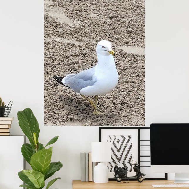 Poster Seagull (Escritório em casa)