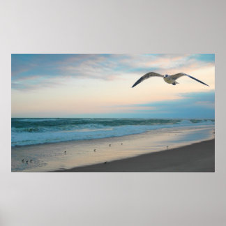Poster Seagull
