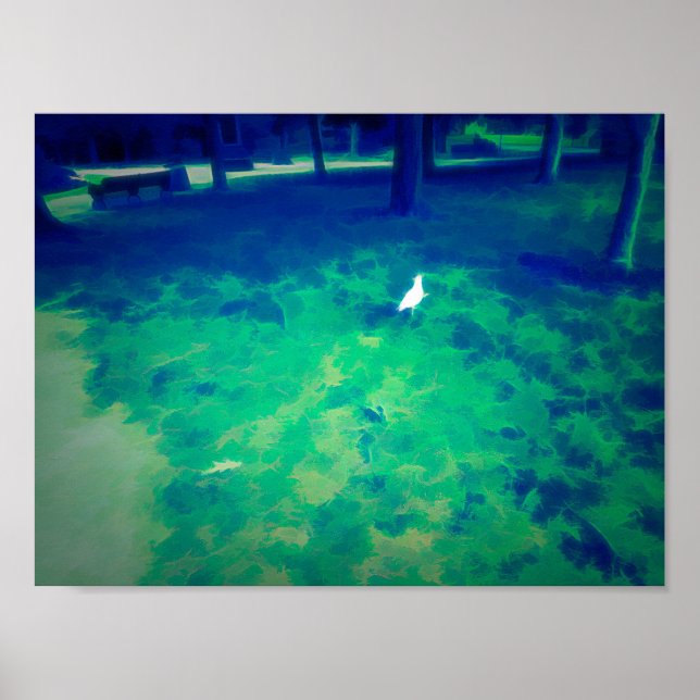 Poster Seagull caminhando na grama Liquify Art Effect (Frente)