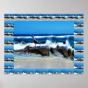 Poster Seagull On Beach Rocks,