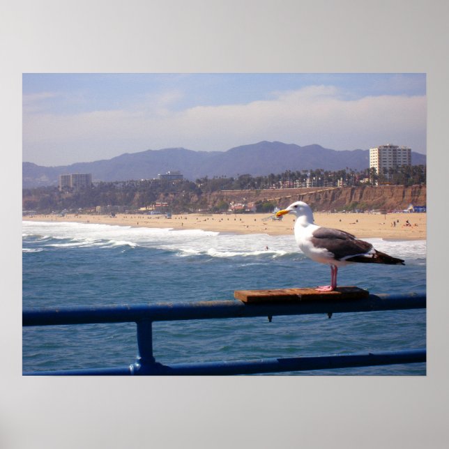 Póster Seagull por Papais noeis Monica Beach (Frente)