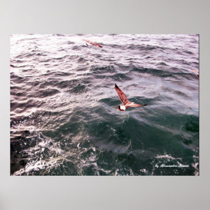 PÓSTER SEAGULL VOANDO SOBRE AS ONDAS