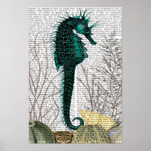 Póster SeaHorse e Sea Urchins
