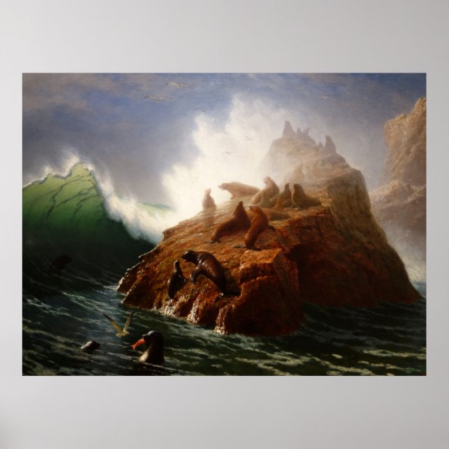 Poster Seal Rock (1872-1887) (Frente)
