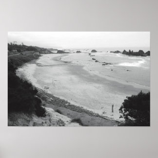 Póster Seal Rock - Duotone