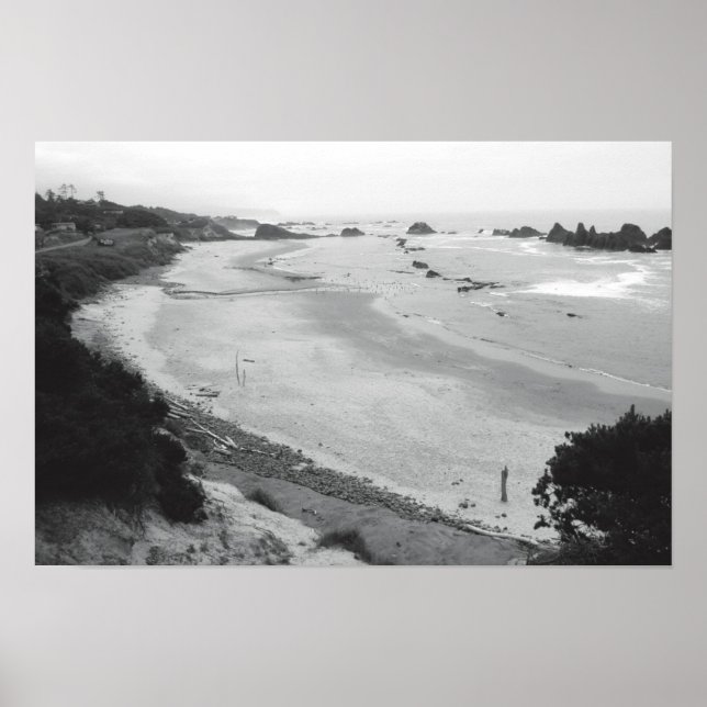 Póster Seal Rock - Duotone (Frente)