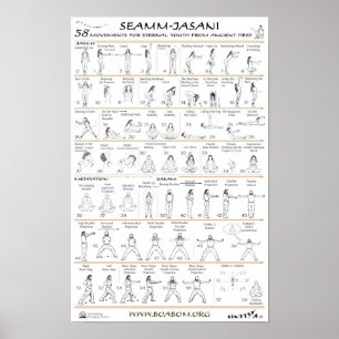 Póster Seamm-Jasani: 58 Movimentos para a Juventude Etern