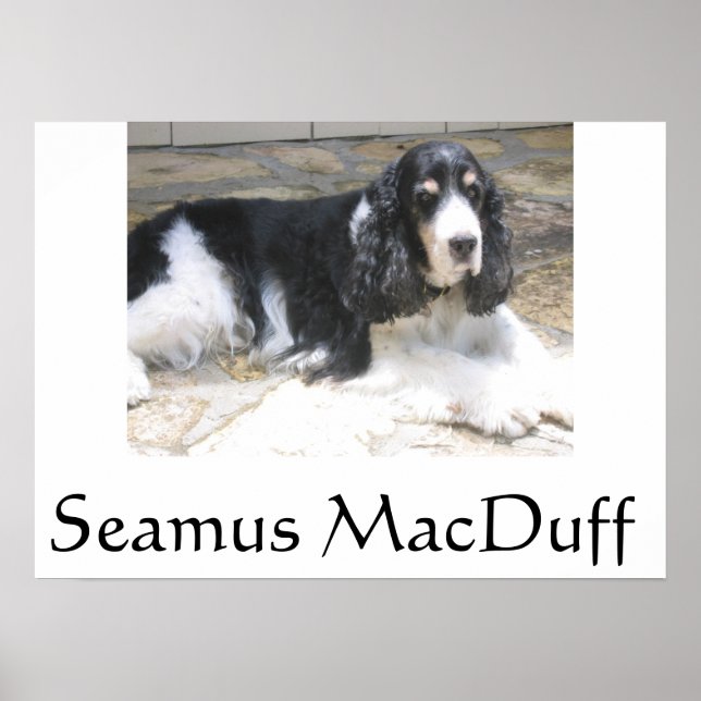 Poster Seamus MacDuff (Frente)