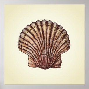 Poster Seashell