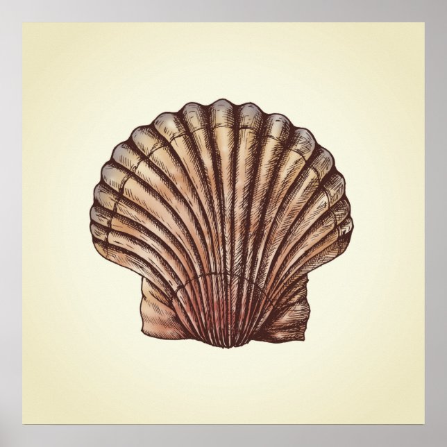 Poster Seashell (Frente)