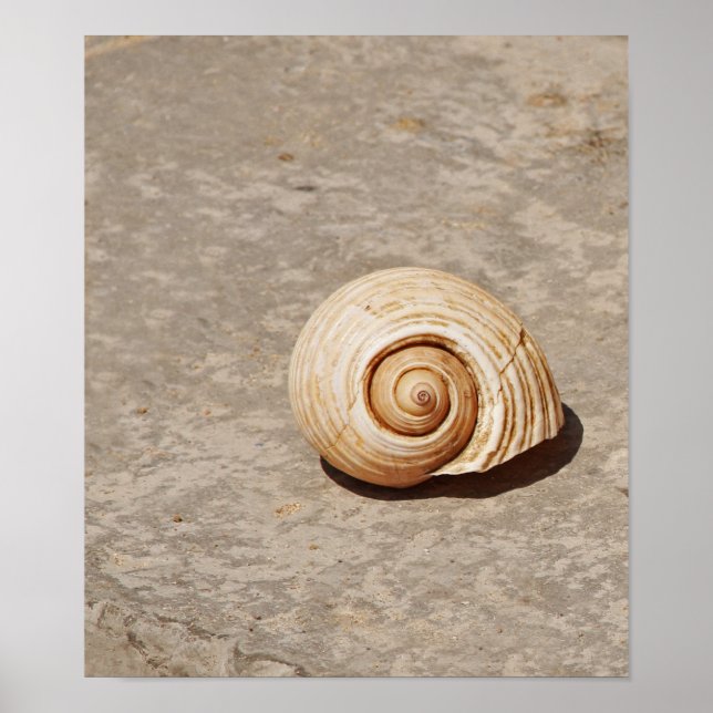 Póster SeaShell (Frente)