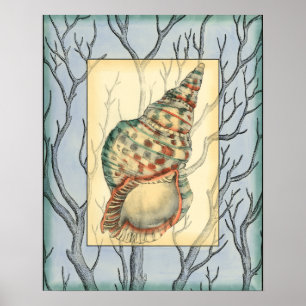 Poster Seashell and Tree Branches