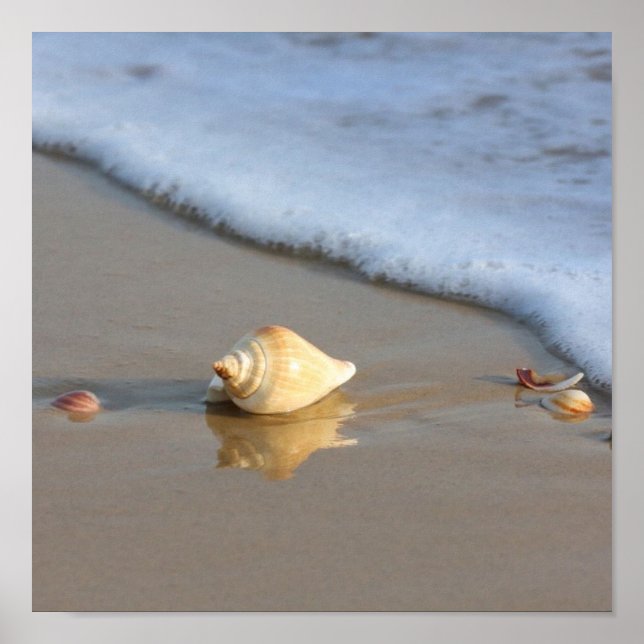 Poster Seashell na areia (Frente)