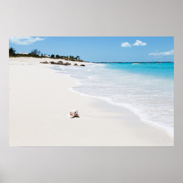 Poster Seashell na praia (Frente)