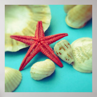 Póster seashell print