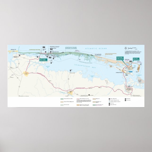 Póster Seashore Nacional da Ilha de Assateague (Frente)
