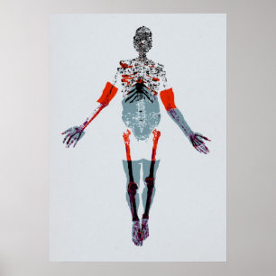 Poster Sebastian