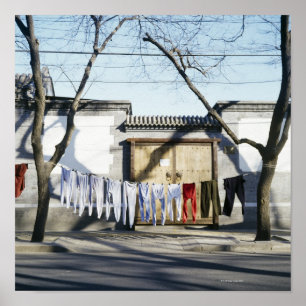 Póster Secagem de roupa em palangres