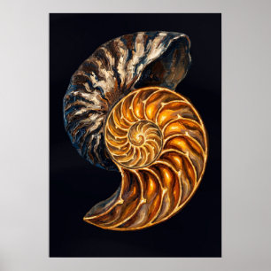 Poster Seção Transversal da Concha do Nautilus — Espiral 