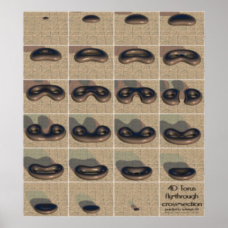 Póster Seção transversal transversal do tronco 4D