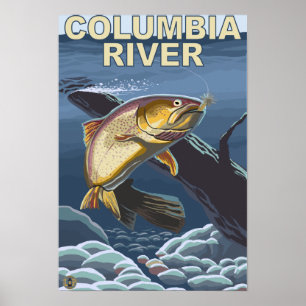 Póster Secção transversal da truta de Cutthroat