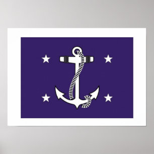 Poster Secretário dos Estados Unidos do marinho