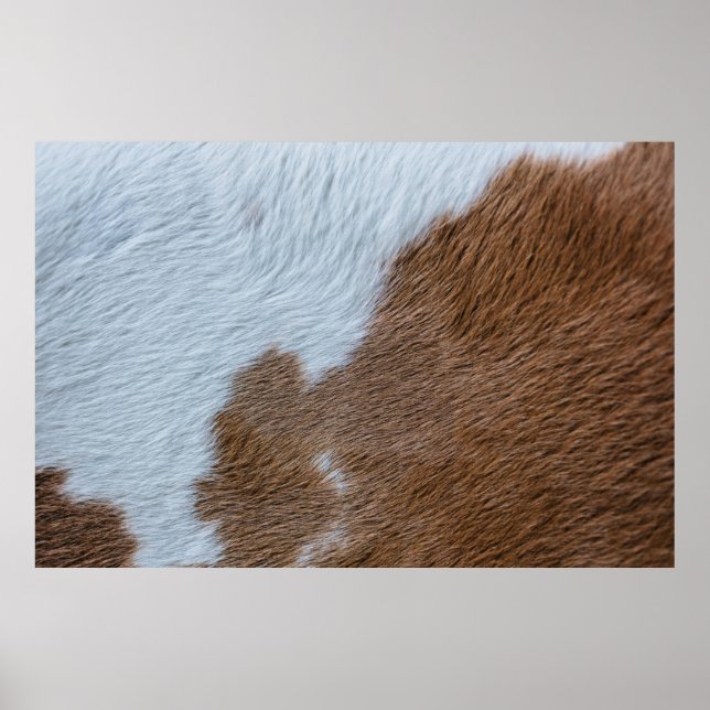 Poster Século Médio (Frente)