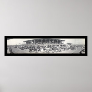 Póster Sedalia MO Cattle Foto 1911