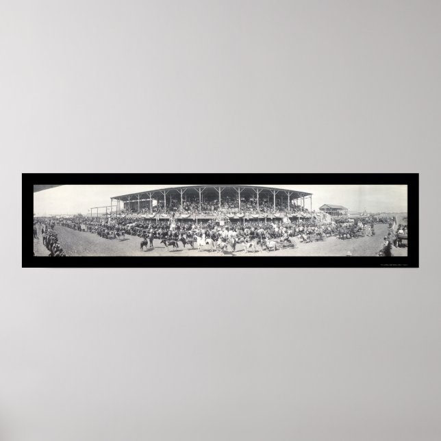 Póster Sedalia MO Cattle Foto 1911 (Frente)