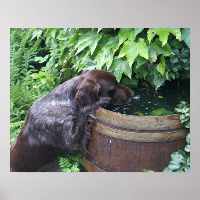 Póster Sedento após o trabalho (Frente)