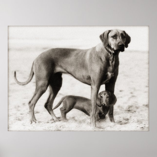 Póster segurança interna (Frente)