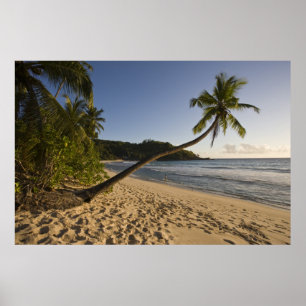 Poster Seicheles, ilha Mahe, praia de Anse Takamaka,