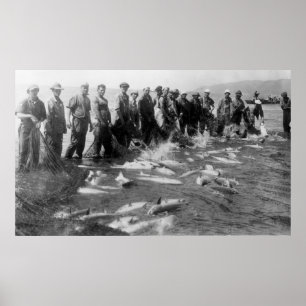 Póster Seining salmões em Astoria, OU fotografia