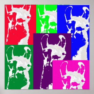 Póster Seis lamas de Mulitcolored