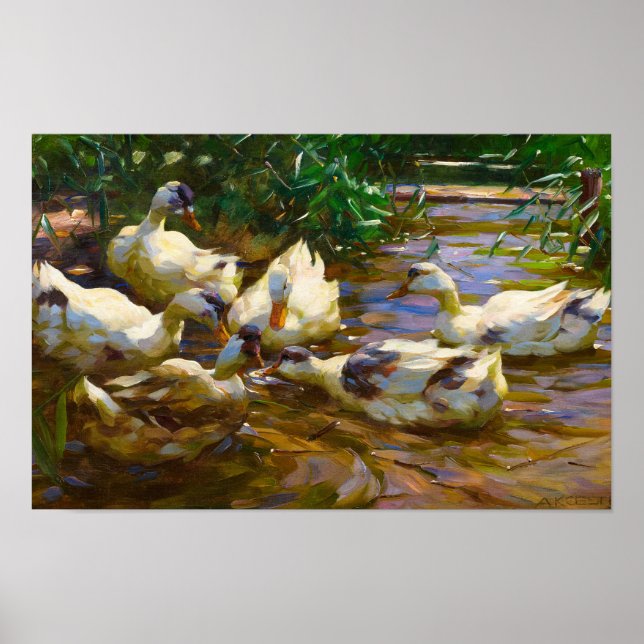 Poster Seis patos em água azul-vermelha por Alexander Koe (Frente)