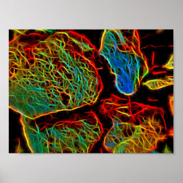 Poster Seixos Pintados com Neon Fulgurante
