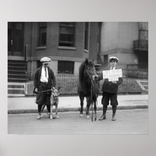 Póster Seja amável aos animais Semana, 1923. Foto do