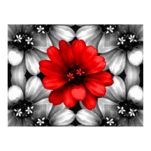 Seja Diferente Flor Vermelho